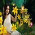 Saat Bhai Champa Zee Bangla Tv Serial Poster