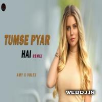 Tumse Pyaar Hai (Lo-Fi Remix) AMY x VOLTX