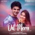 Dil Mera - Mohammed Irfan kbps